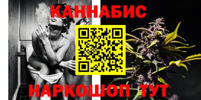 бошки Волгодонск