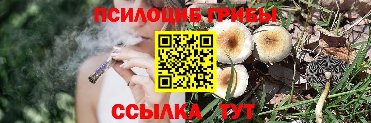 Пушкино  Галлюциногенные грибы мицелий  Вход с VPN 